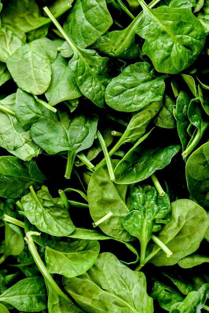 Country Roots: Diverse Farm-Fresh Mix