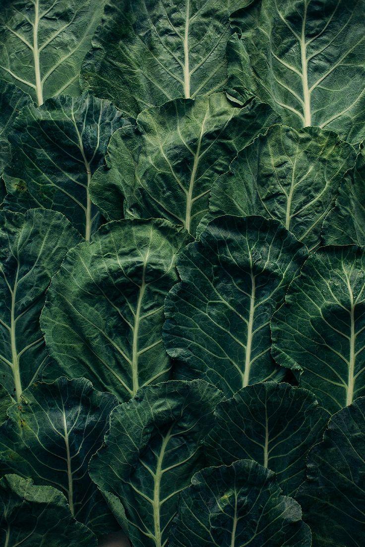 Garden Glory: Seasonal Veggie Spectrum